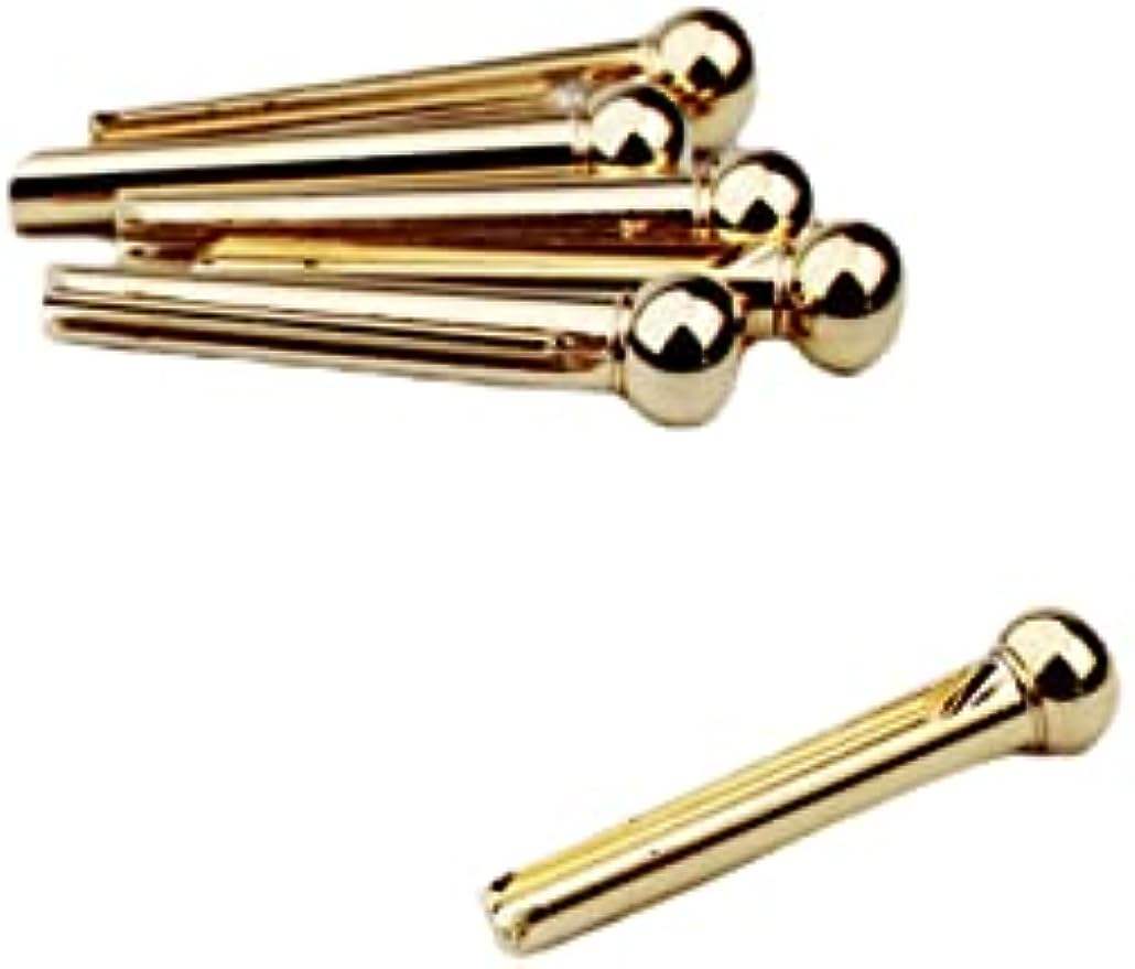 Guyker Brass Pins Bridge Pins, Endpin for 6 Strings Folk Acoustic Guitar Nail Pegs Replacement Parts High Craftsmanship 1 Set (6 Pcs) - Guyker