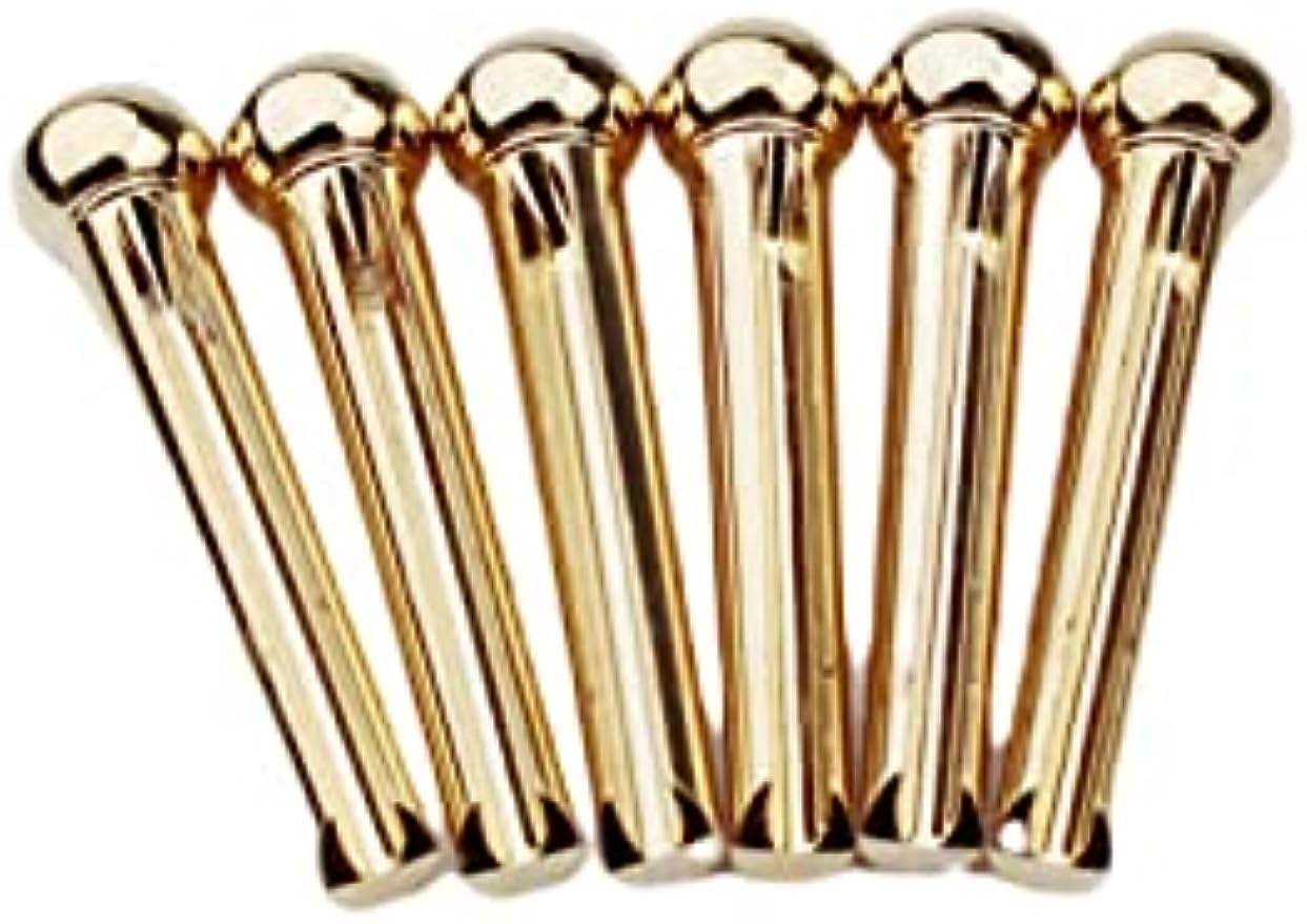 USA Ebony Rosewood Bridge Pins & End Pins - Guitar String Pegs For Acoustic Guitar, Easy To Use Replacement