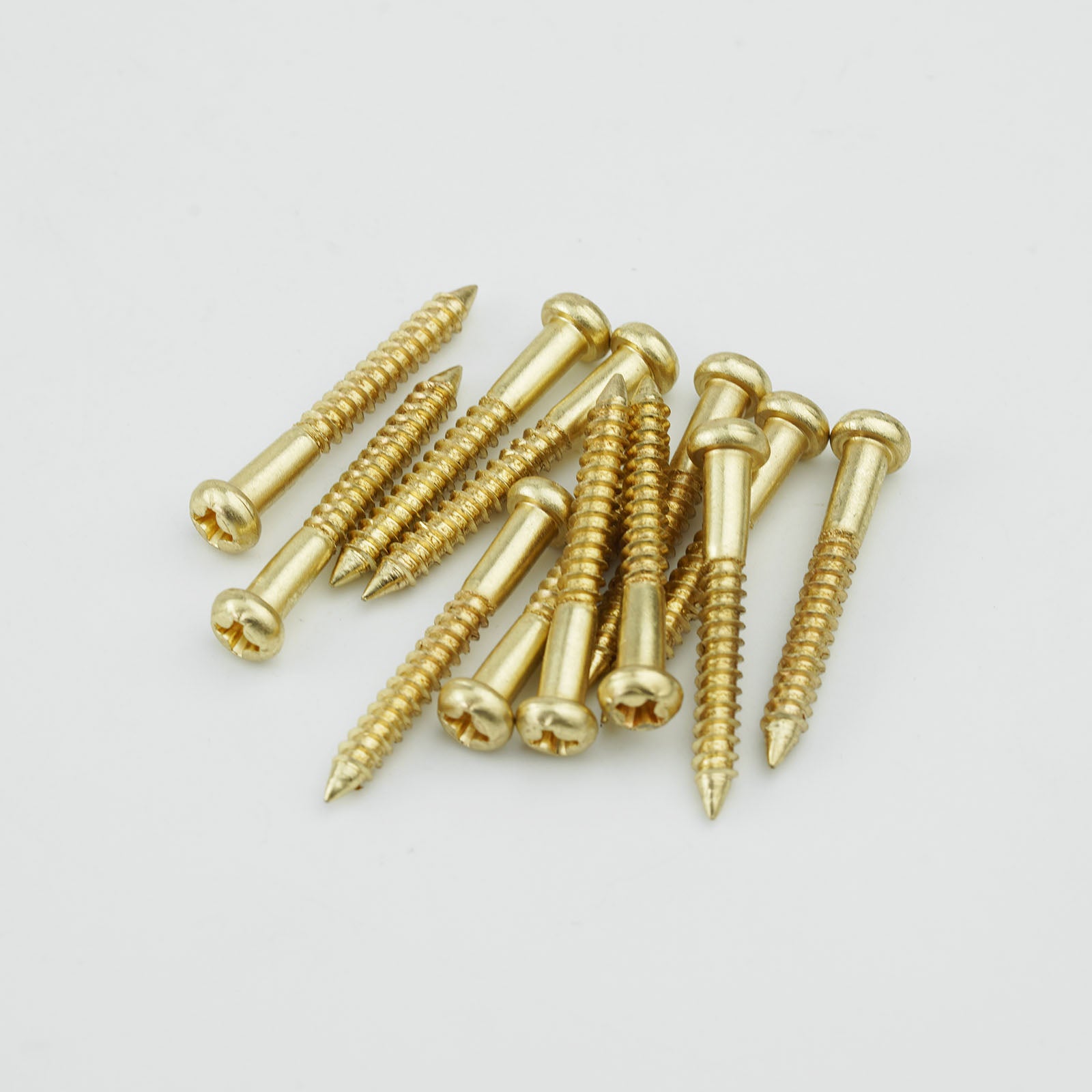 Stainless Steel Bridge Mounting Screws 12pcs for Guitar & Bass | Guyker