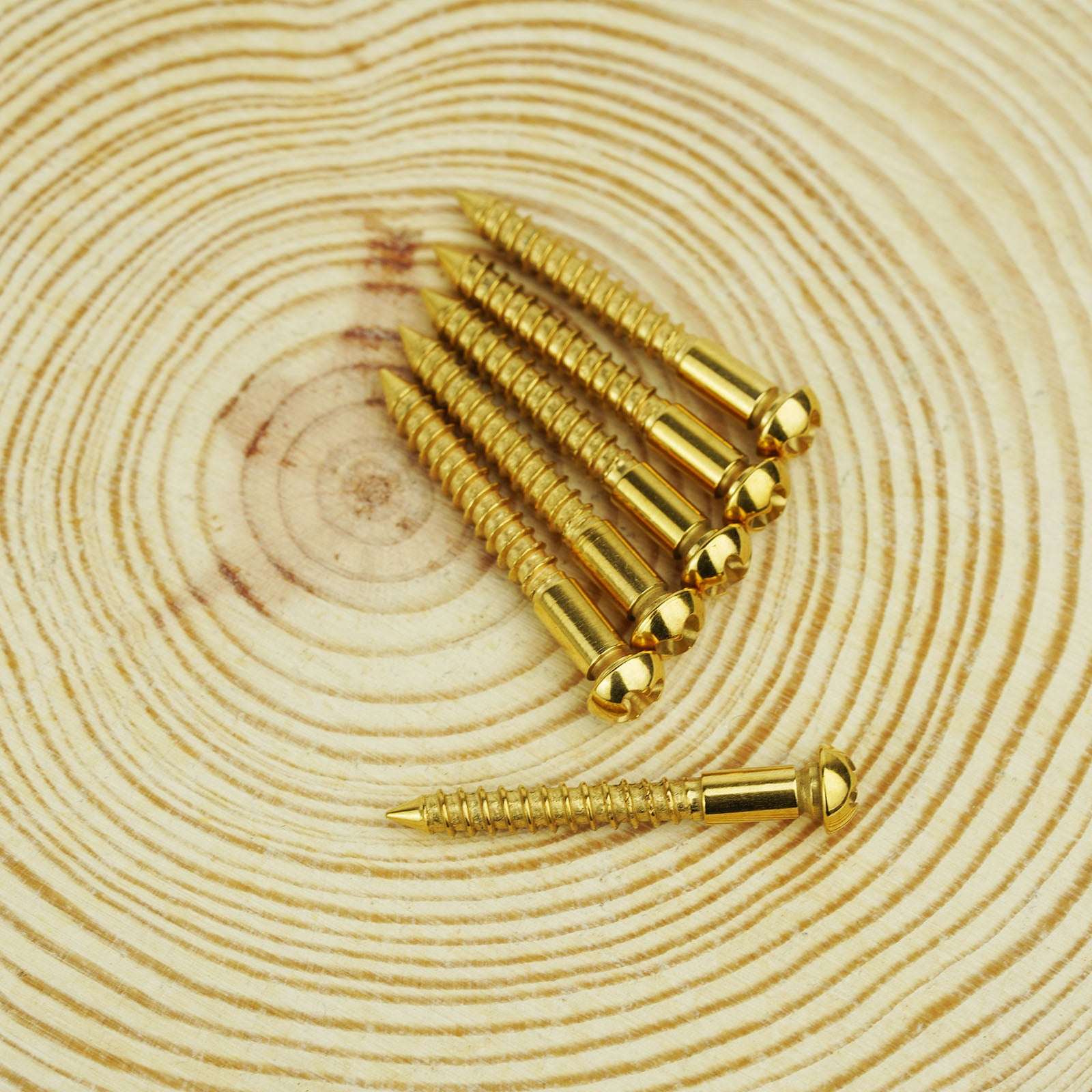Stainless Steel Tremolo Bridge Screws for Electric Guitar | Guyker