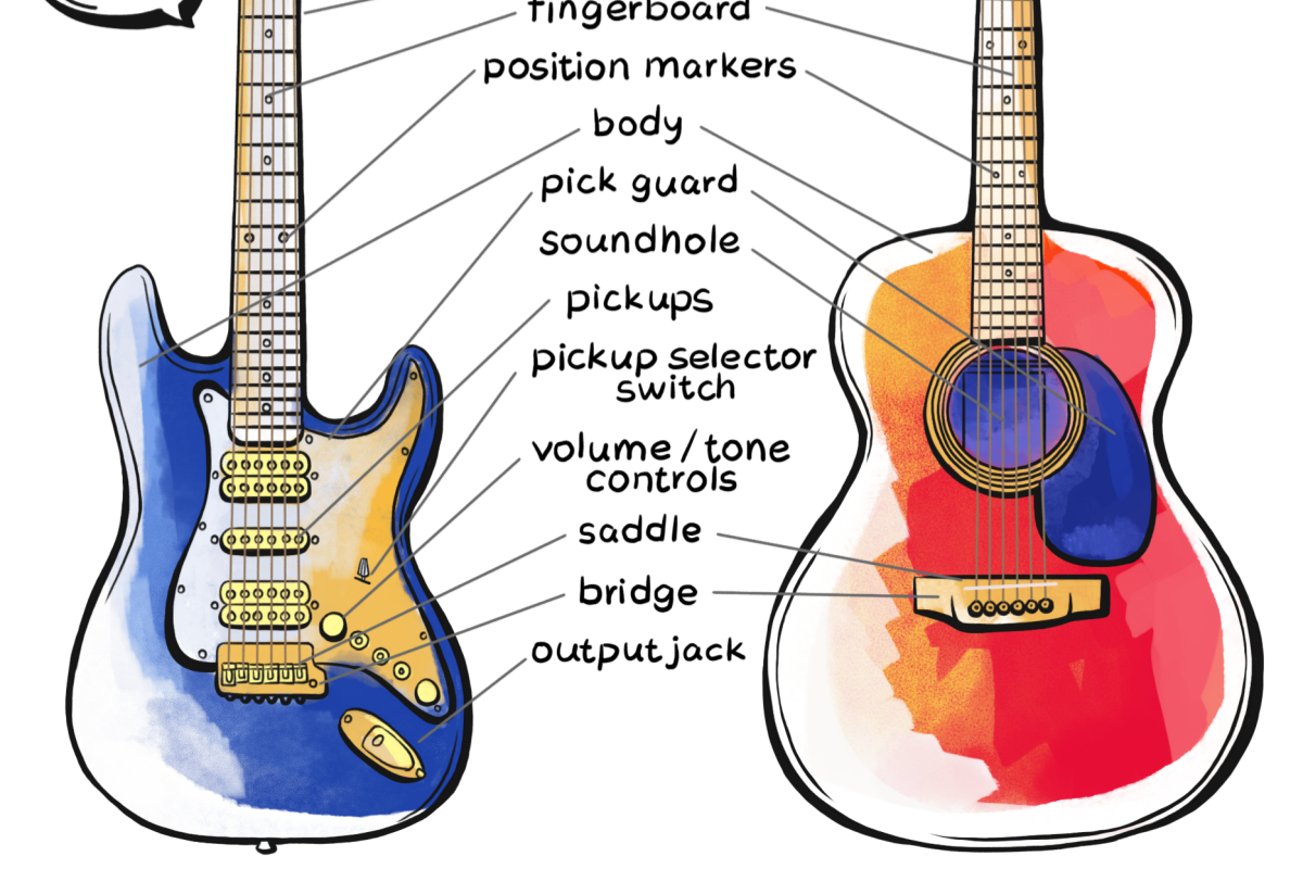 Guitar Anatomy - What are Different Parts of A Guitar Called?