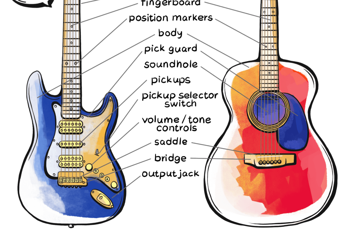 Guitar Anatomy - What are Different Parts of A Guitar Called?