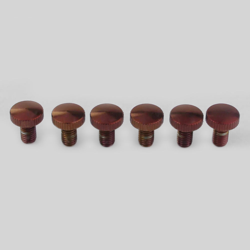 1 Set Red Titanium Alloy FR Screw Set