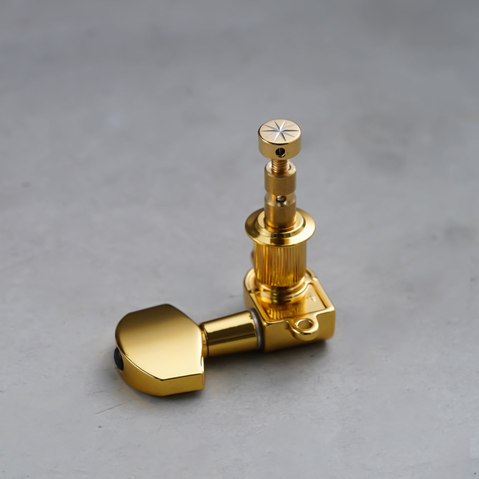 PRS-001 Guitar Tuning Machine Screw Mizi