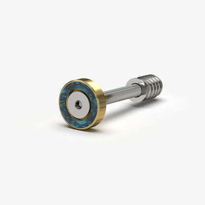 Guyker GN-011 Bolt-On Neck Mounting Screw & Bushing Set