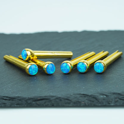 Acoustic Guitar Bridge Pins – Blue Glass Inlays | Guyker