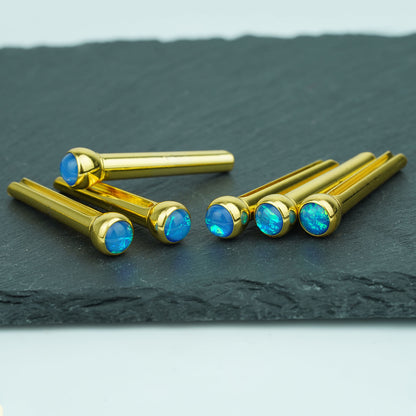 Acoustic Guitar Bridge Pins Blue Sparkle Inlay | Guyker