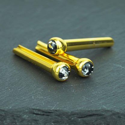 Acoustic Guitar Bridge Pins – Silver Foil Inlays | Guyker