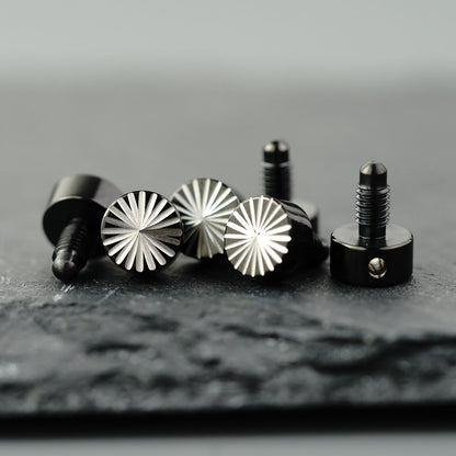 Vis de réglage de guitare PRS-003