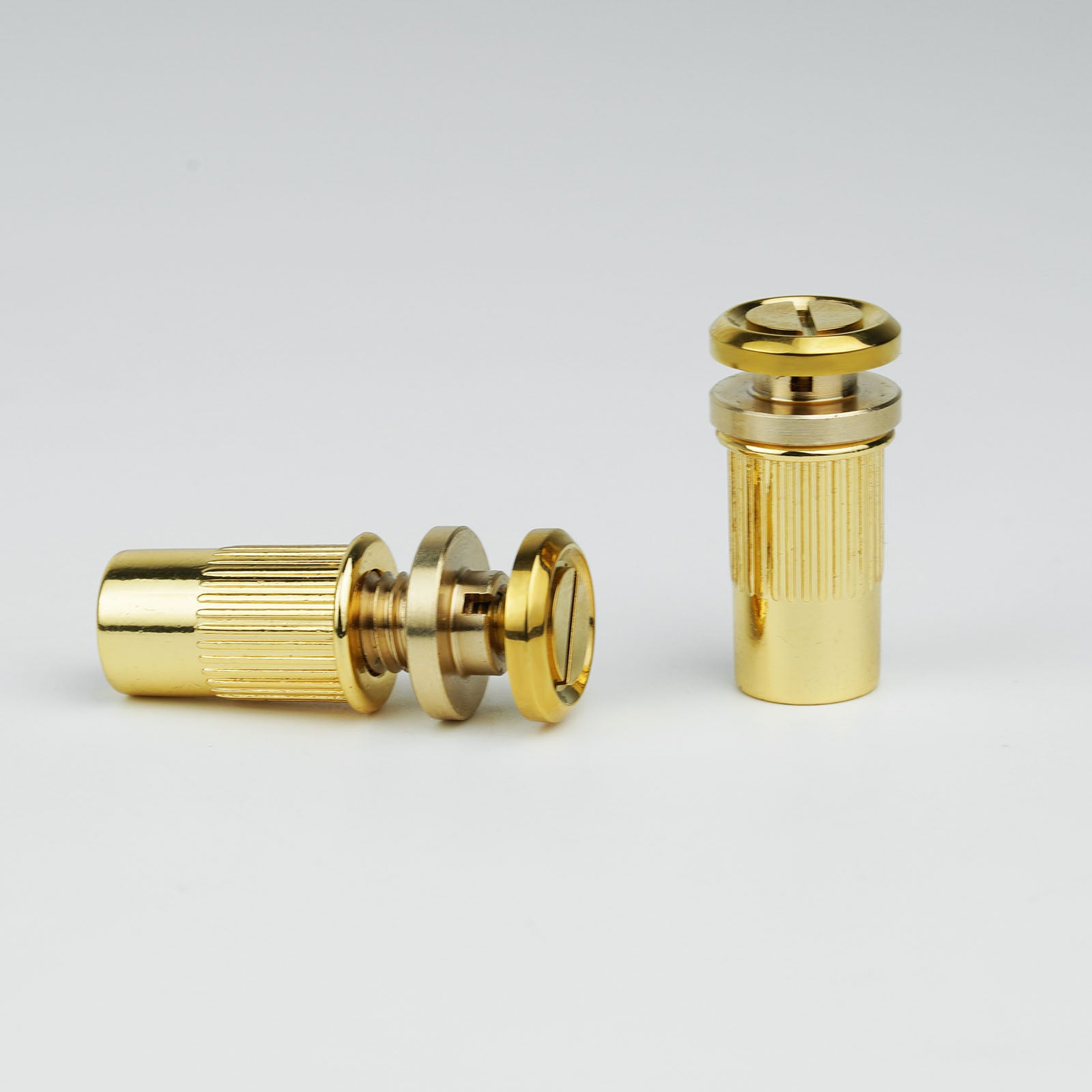 Guitar Bridge Stud Screws – Brass & Steel Set | Guyker