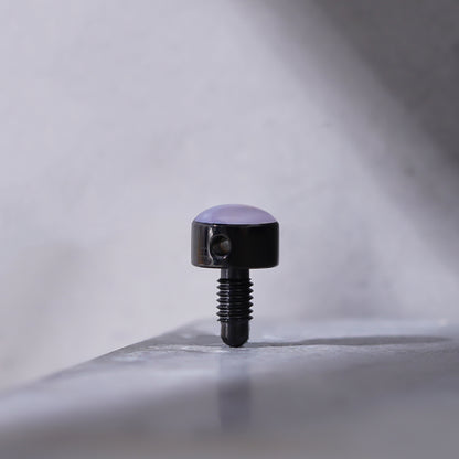 PRS-004 PRS Guitar Tuning Machine Replacement Cap Screw