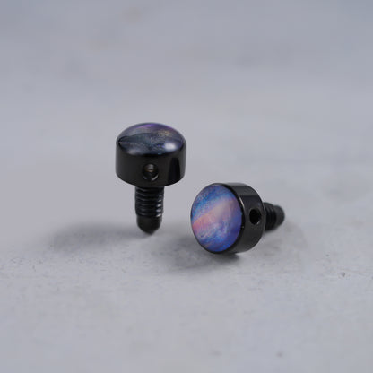 PRS-004 PRS Guitar Tuning Machine Replacement Cap Screw