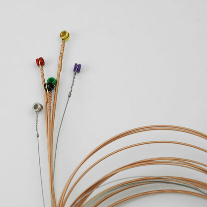 Phosphor Bronze Acoustic Guitar Strings with Anti-Rust Coating Guyker