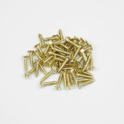 Guyker Stainless Steel Pickguard Screws M2.8×12.9mm for Electric Guitar