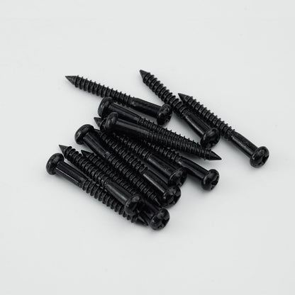 Stainless Steel Bridge Mounting Screws 12pcs for Guitar & Bass | Guyker