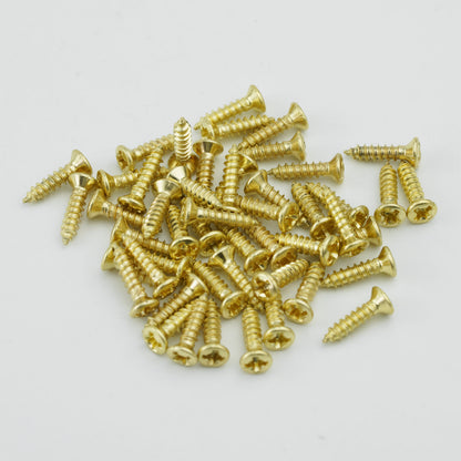 Stainless Steel Pickguard Screws 50pcs for Guitar & Bass | Guyker