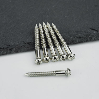 Stainless Steel Tremolo Bridge Screws for Electric Guitar | Guyker