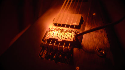 Titanium Tremolo Bridge Saddles Floyd Rose Compatible | Guyker
